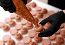 Faculdade Senac oferece workshop gratuito sobre cacau e chocolate