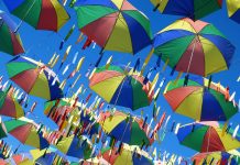 Dia do nordestino: a importância da data e o respeito ao nordeste