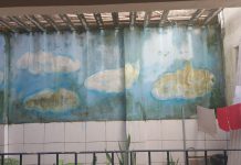 Vistoria do Sindicato dos Professores Municipais do Paulista revela janelas quebradas, presença de mofo nas salas de aula e rachaduras em escolas do Janga