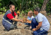 Alunos da rede municipal do Jaboatão plantam mudas de árvores em Barra de Jangada