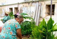 A RMR vai ganhar a primeira Escola de Agriculturas Urbanas e Periurbanas