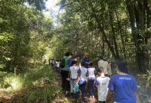 Rota dos Coqueiros promove trilha ecológica em comemoração ao Dia da Terra