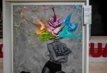 Recife recebe exposição gratuita de arte e conscientização sobre saúde feminina e autocuidado