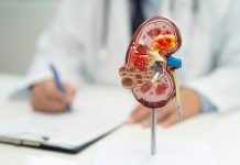 Estudo da Hapvida NotreDame Intermédica, indica que cerca de 4% dos beneficiários adultos, têm algum grau de doença renal crônica