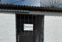 Práticas sustentáveis das empresas são valorizadas por consumidores