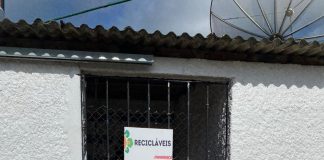 Práticas sustentáveis das empresas são valorizadas por consumidores