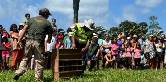 Animais silvestres reabilitados na Reserva do Paiva, são devolvidos ao seu habitat natural, na Mata de Camaçari