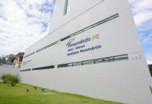 Comércio pernambucano espera crescimento de 13,3% nas vendas no Dia das Crianças de 2024