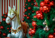 Circo do Noel: Shopping Recife abre-alas para um Natal de espetáculos