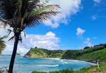 Integrantes do DEL Turismo, Fernando de Noronha, Tamandaré e Sirinhaém, estão no TOP 100 Stories da Green Destinations