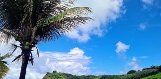 Integrantes do DEL Turismo, Fernando de Noronha, Tamandaré e Sirinhaém, estão no TOP 100 Stories da Green Destinations