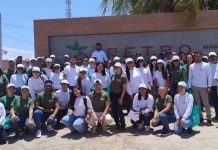 Senar-PE com inscrições para cursos técnicos gratuitos