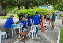 Parque do Paiva recebe Campanha de Multivacinação para cães e gatos, com vacinação gratuita e imunização mais completa