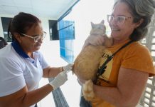Em Jaboatão, cães e gatos são vacinados contra a raiva, no Dia D da campanha