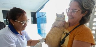 Em Jaboatão, cães e gatos são vacinados contra a raiva, no Dia D da campanha