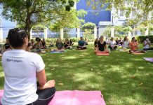 Evento Yoga no Jardim despede-se de 2024 com bem-estar