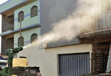 Vacina contra chikungunya mantém anticorpos após 1 ano de aplicação