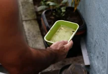 Menina é primeira morte por dengue confirmada na capital de São Paulo