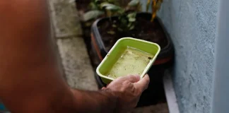 Menina é primeira morte por dengue confirmada na capital de São Paulo