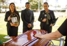 Cresce o interesse por profissionais do setor funerário nas redes sociais, aponta Google Trends