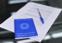 Pernambuco tem o maior crescimento de renda do Brasil em 2024 e o melhor desempenho estadual da série histórica, iniciada em 2013