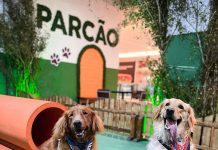 Shopping Patteo Olinda promove “Cãodrilha” junina, com programação gratuita para pets e famílias