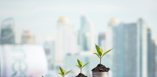 Quais os melhores tipos de investimento para quem está iniciando?
