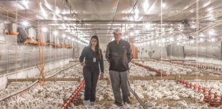 Aurora Coop reforça compromisso com o bem-estar animal e investe mais de R$ 1,4 bilhão em melhorias na cadeia produtiva