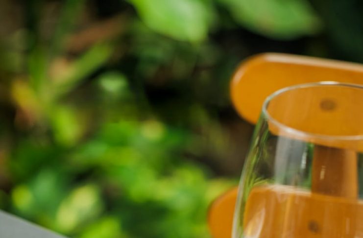 Festival Gastronômico Valores do São Francisco convoca restaurantes para celebrar vinhos e sabores regionais