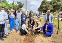 International Coop Semiárido (ICS) promove plantio de mudas nativas da caatinga