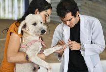 Prefeitura do Recife leva vacinação e atendimento veterinário gratuito ao Compaz Miguel Arraes, nesta sexta (14)