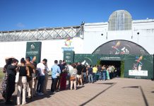 CONEVEPA 2025: Congresso de Medicina Veterinária de pequenos animais, bate recorde de congressistas na Feira Petnor