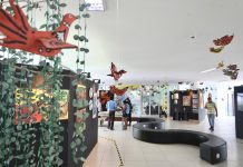 Compaz Ariano Suassuna abre ao público a exposição “O Céu dos Ventos”, nesta quarta (19)