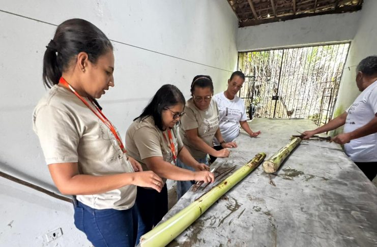 Mulheres de São Vicente Férrer promovem desfile com roupas criadas a partir da fibra de bananeiras