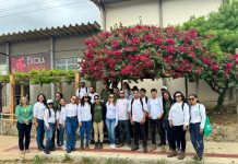 Senar-PE inscreve para cursos técnicos gratuitos do e-Tec 2026.1