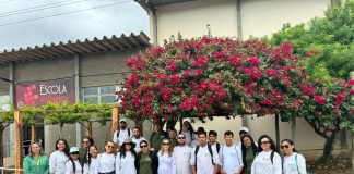 Senar-PE inscreve para cursos técnicos gratuitos do e-Tec 2026.1