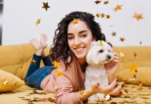 Pets e as festas de fim de ano: Como minimizar riscos e proteger os bichinhos