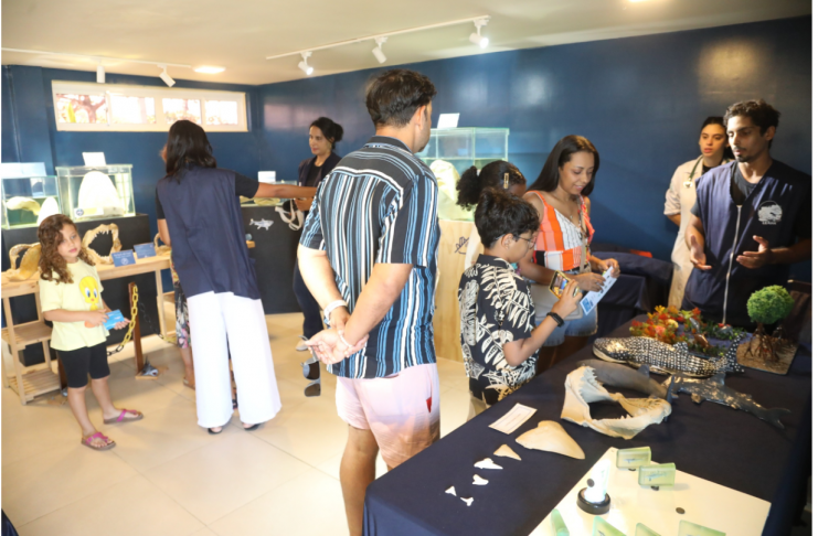 Prefeitura de Jaboatão amplia exposição do Espaço Vida Marinha