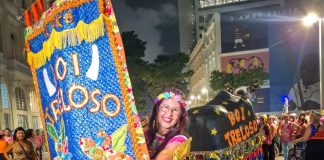 Boi Treloso leva cultura popular e inclusão às ruas do Bairro do Recife