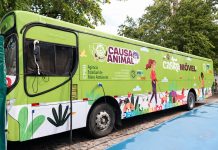 Governo de Pernambuco e Prefeitura de Olinda anunciam datas do mutirão gratuito de castração de cães e gatos