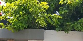 SINPOL-PE denuncia Delegacias da Mulher fechadas, no Dia Internacional da Mulher em Pernambuco