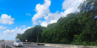 Em Pernambuco, feriado da Semana Santa 2026 deve intensificar fluxo de veículos nas rodovias Rota do Atlântico e Rota dos Coqueiros