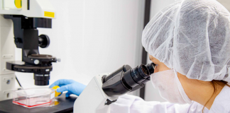 Avon desenvolve primeira pele bioimpressa em laboratório que reproduz efeitos da menopausa