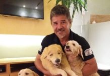 Adestramento de pets vai muito além de comandos de obediência