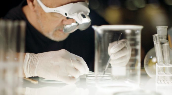 “Sua pele não é um teste”: Avon convida artistas para assinarem primeira tatuagem em pele feita em laboratório