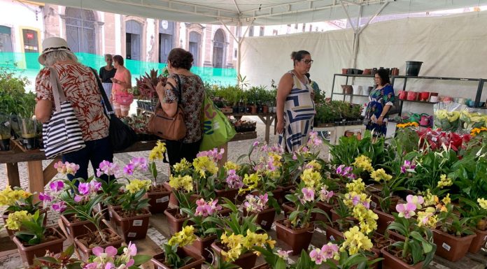 Festival Flores de Holambra realiza edição especial de Dia das Mães em dois pontos do Recife