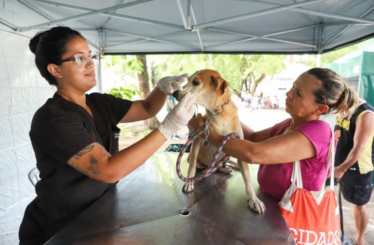Programa de castração animal avança na Região Metropolitana e no Agreste, com agendas em Igarassu e Garanhuns