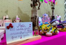 Feirinha de Dia das Mães é atração no bairro dos Aflitos, em Recife