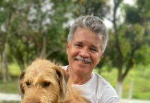 Guarda compartilhada de pets têm novas regras