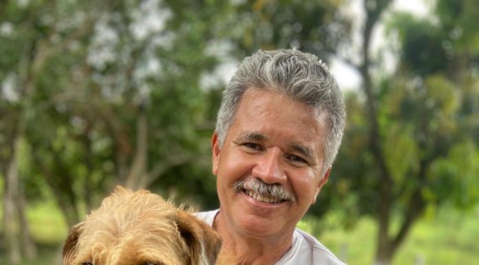 Guarda compartilhada de pets têm novas regras